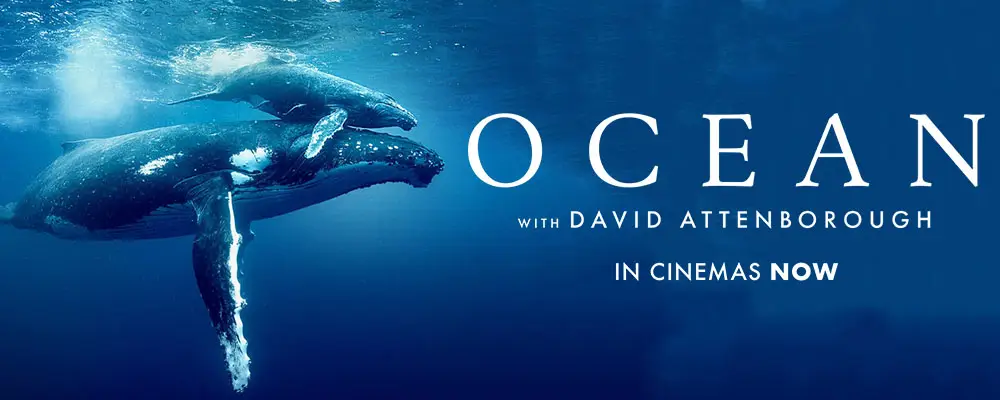 دانلود مستند Ocean with David Attenborough 2025